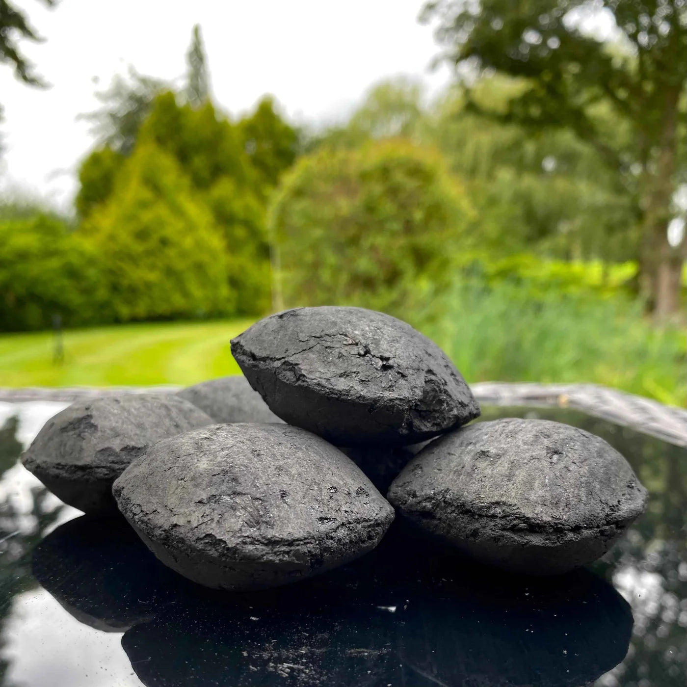 Birch Charcoal Briquettes 10kg