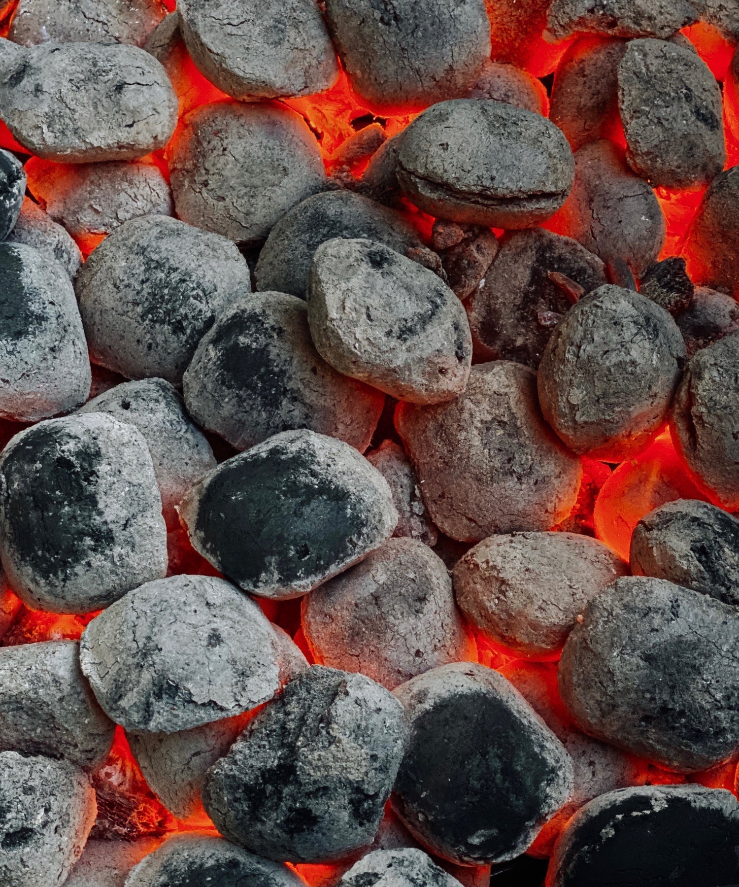Briquettes